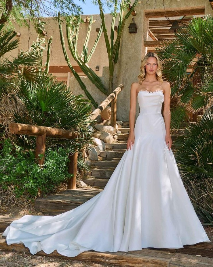 Calla Blanche Lazara Default Image